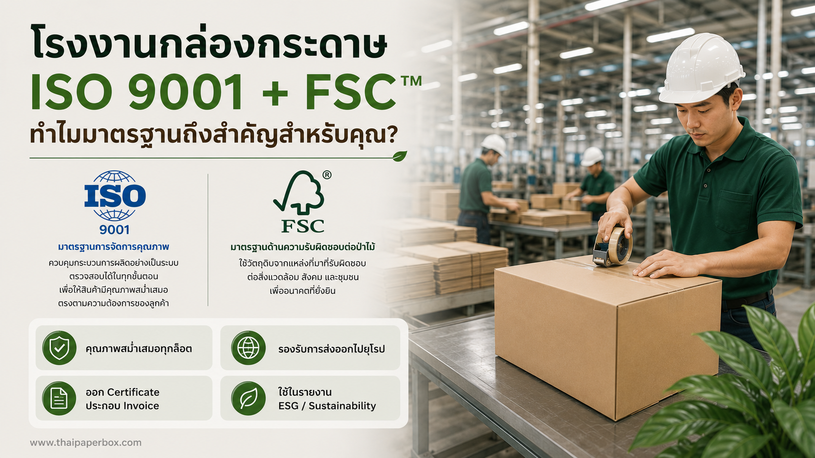 โรงงานกล่องกระดาษ ISO 9001 + FSC™ - ทำไมมาตรฐานถึงสำคัญสำหรับคุณ?